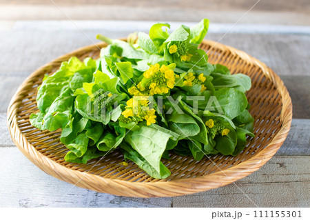 ざるに載った春の食材、菜の花 111155301