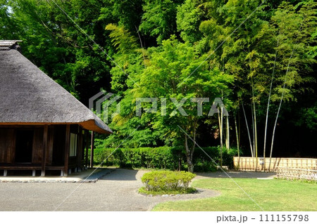 新緑に包まれた古民家 【相模原市大島 5月】 新緑に包まれた古民家 【相模原市大島 5月】 111155798