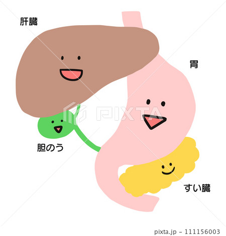 臓器のイラスト 肝臓、胆のう、胃、膵臓のイラスト素材 [111156003] - PIXTA