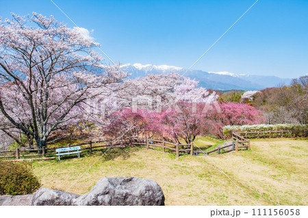 大草城址公園（春） 111156058