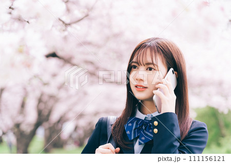 桜の木の下でスマホで電話をする高校生 111156121