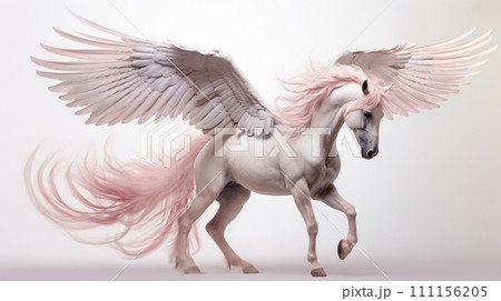 ペガサスのイメージ - image of Pegasus No6-21 - 111156205