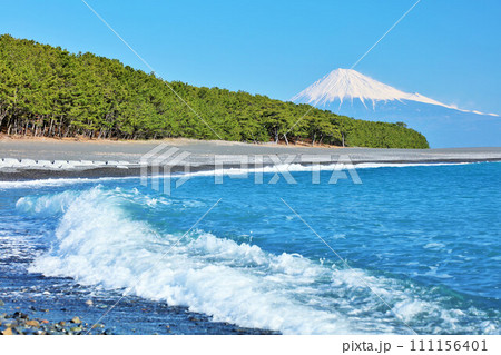 静岡県　青空の三保の松原と富士山 111156401