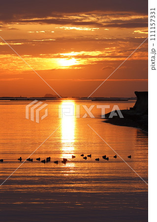 兵庫県　坂越　日の出頃　朝　風景 111157331