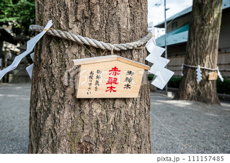 運気が上がる! 田無神社 運気が上がる! 田無神社 111157485