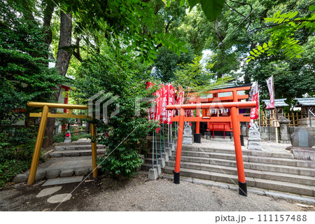 運気が上がる！ 田無神社 111157488