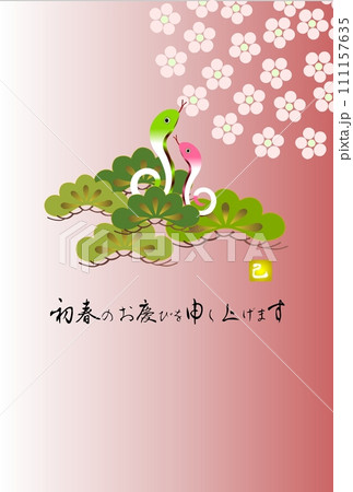 和風巳年年賀状 松と巳 梅背景 コピースペース 横書きの賀詞 和風巳年年賀状 松と巳 梅背景 コピースペース 横書きの賀詞 111157635