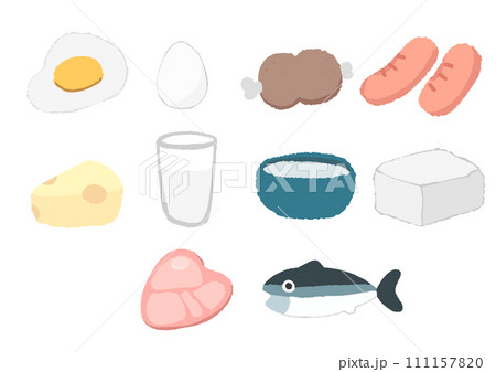 たんぱく質の食品 たんぱく質の食品 111157820