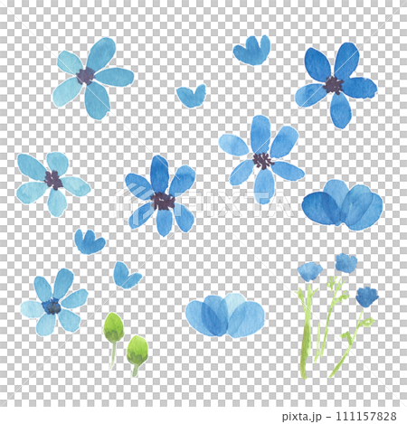 藍色的花 111157828