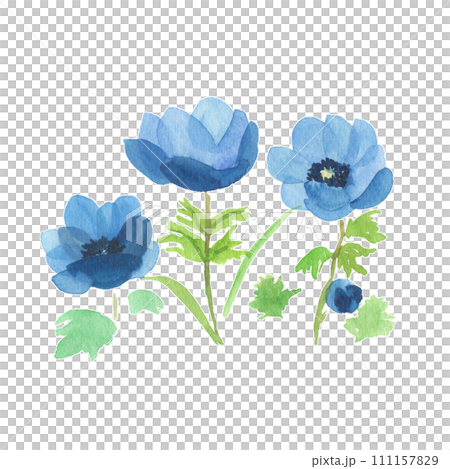 藍色的花 111157829