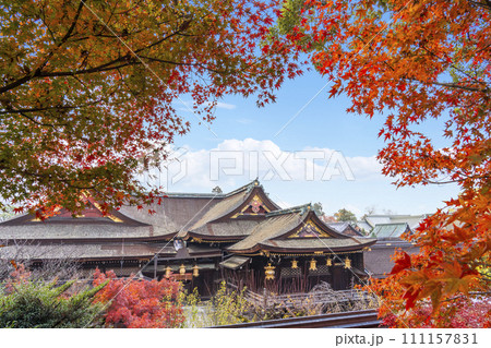 秋の京都　北野天満宮　もみじ苑展望所から望む国宝御本殿 111157831