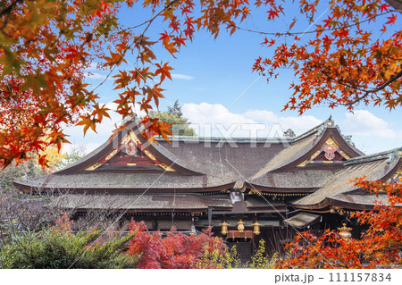 秋の京都　北野天満宮　もみじ苑展望所から望む国宝御本殿 111157834