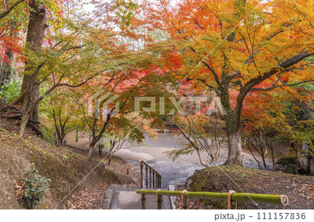 秋の京都　北野天満宮　もみじ苑の美しい紅葉 111157836