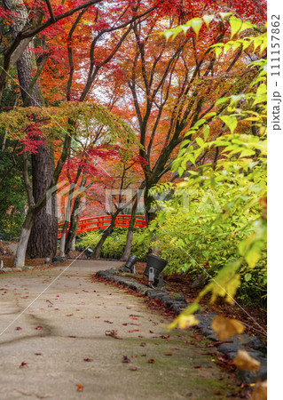 秋の京都　北野天満宮　御土居もみじ苑の美しい紅葉 111157862