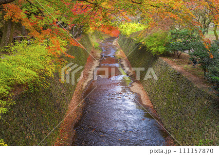 秋の京都 北野天満宮 御土居もみじ苑 川辺に映る美しい紅葉 秋の京都 北野天満宮 御土居もみじ苑 川辺に映る美しい紅葉 111157870