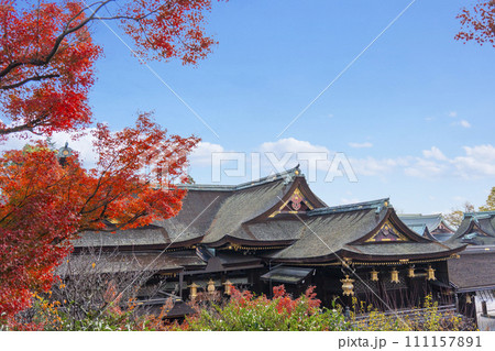 秋の京都 北野天満宮 もみじ苑展望所から望む国宝御本殿 秋の京都 北野天満宮 もみじ苑展望所から望む国宝御本殿 111157891