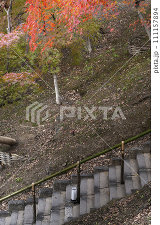 秋の京都 北野天満宮 御土居もみじ苑の美しい紅葉 秋の京都 北野天満宮 御土居もみじ苑の美しい紅葉 111157894
