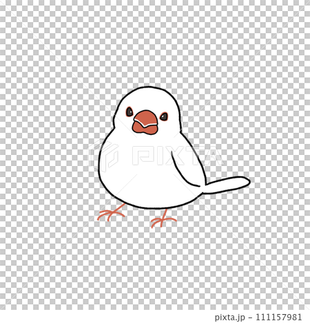 白石鳥 白石鳥 111157981