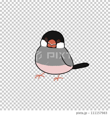 【原画】文鳥イラストオーダー(手描き) 絵本作家のオーダー絵画「リアルな小鳥ブレーメン A4」小鳥/鳥