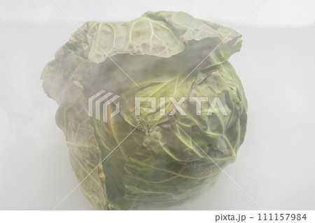 野菜　冷気　冷蔵庫　キャベツ 111157984