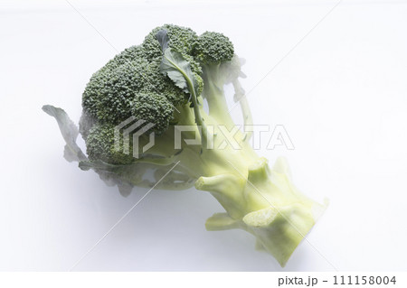 野菜 冷気 冷蔵庫 ブロッコリー 野菜 冷気 冷蔵庫 ブロッコリー 111158004