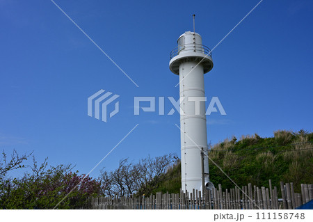 椎谷鼻灯台 椎谷鼻灯台 111158748