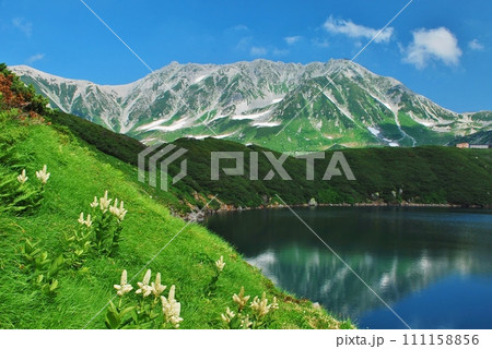 絶景の立山 みくりが池 夏景色 絶景の立山 みくりが池 夏景色 111158856