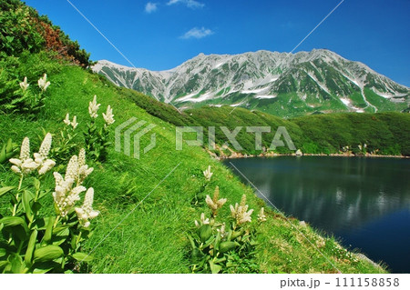 絶景の立山 みくりが池 夏景色 絶景の立山 みくりが池 夏景色 111158858