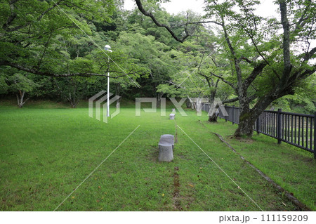 緑に囲まれた公園 緑に囲まれた公園 111159209