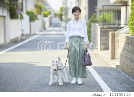 ワイヤーフォックステリアと住宅街を散歩する若い女性 111159210