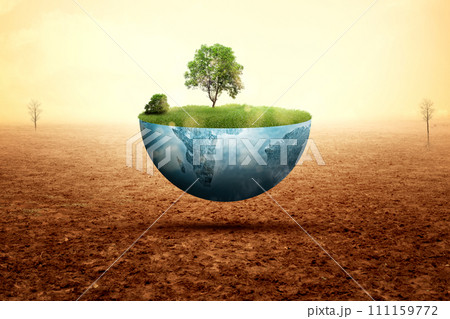 A grown tree on fertile land A grown tree on fertile land 111159772