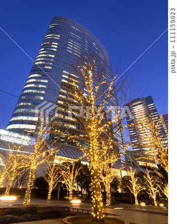 品川セントラルガーデンのイルミネーション　東京都 111159823