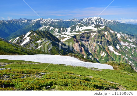 夏の絶景立山連峰トレッキング 111160676