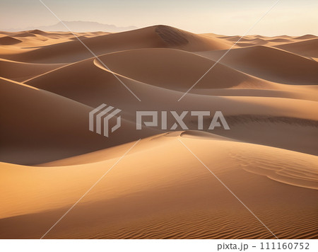 sand dunes in the desert 111160752