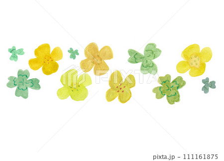 透明水彩絵の具で描いた黄色い菜の花と四つ葉と三つ葉のイラスト 111161875