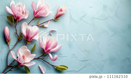 Spring Magnolia Flowers on Pastel Background 111162310