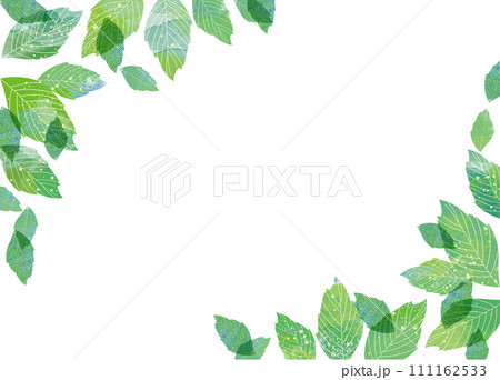 新緑の葉フレーム 新緑の葉フレーム 111162533