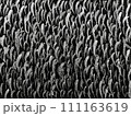 抽象的なモノクロームのイメージ 111163619