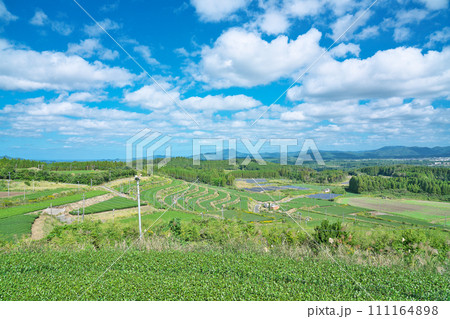 【高塚丘 (茶ばっけん丘)より一面の茶畑】 鹿児島県南九州市知覧町西元 【高塚丘 (茶ばっけん丘)より一面の茶畑】 鹿児島県南九州市知覧町西元 111164898