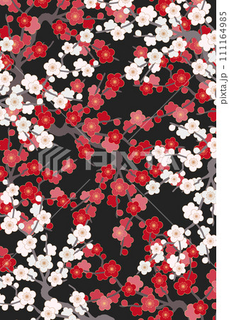 和風の紅白の梅の花の背景 和風の紅白の梅の花の背景 111164985