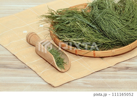 Equisetum arvense, the field horsetail or common horsetail, dried in the basket on wooden table 111165052
