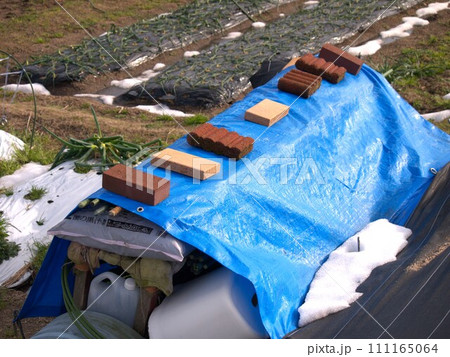 畑に置かれた道具 111165064