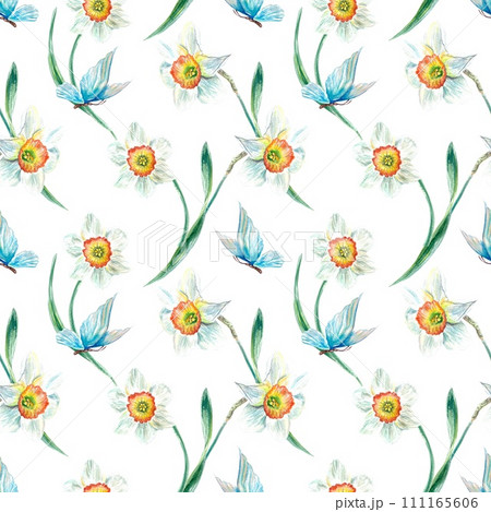 Daffodils and butterfly pattern, watercolor. Illustration isolated on white background. Cards, invitations, wrapping paper, textiles, wallpaper. 111165606