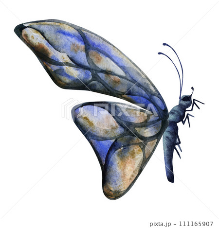 Hand drawn watercolor illustration butterfly fairy wings gem crystal insect moth. Sapphire larimar lapis lazuli. Single object isolated on white background. Design print, shop, wedding, birthday 111165907