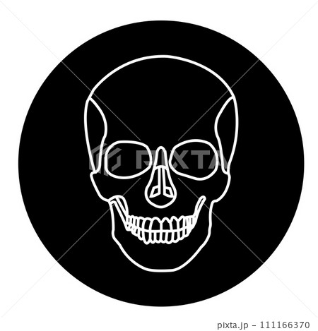 Human skull icon 111166370