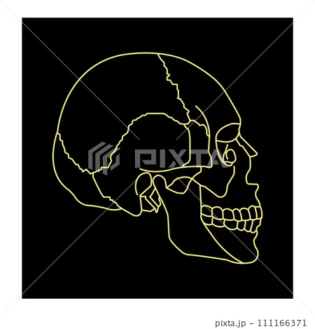 Human skull icon 111166371