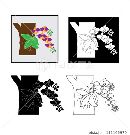 Orchid flower icon Orchid flower icon 111166979