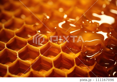 Honey, Close up product of honey and bee 111167096