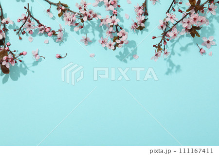 Spring twigs with flowers on a blue background. Spring twigs with flowers on a blue background. 111167411