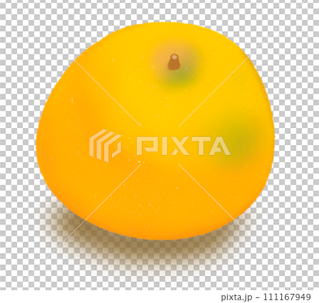 orange fruit orange fruit 111167949
